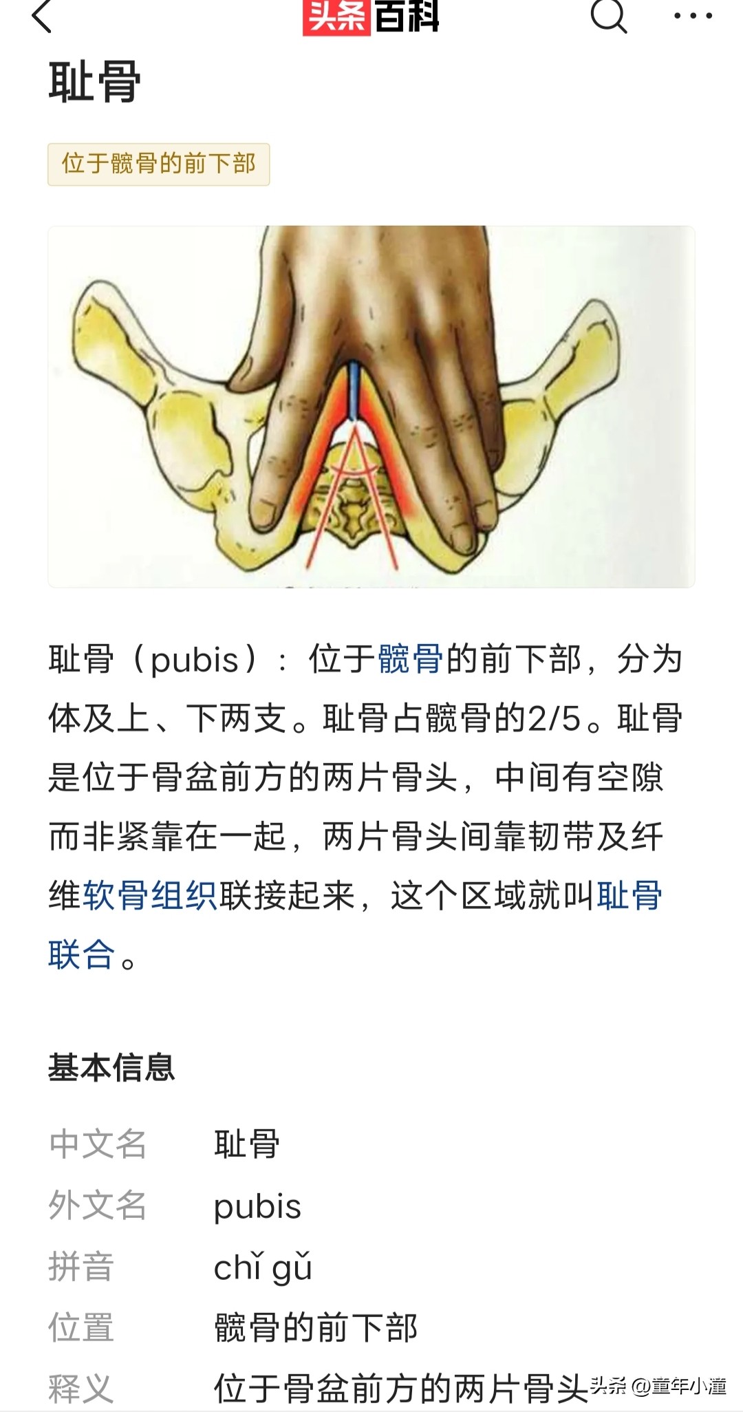 全副武装未露耻骨，冯竟爽挑战海南环岛1000公里骑行赛，小腿晒黑