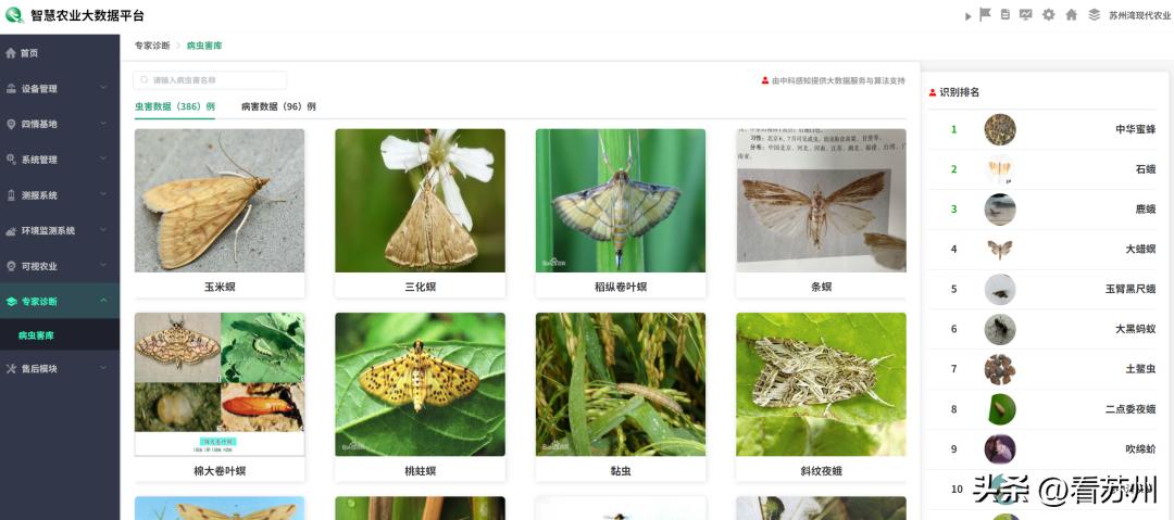 苏州湾现代农业公司,苏州无人化农场视频