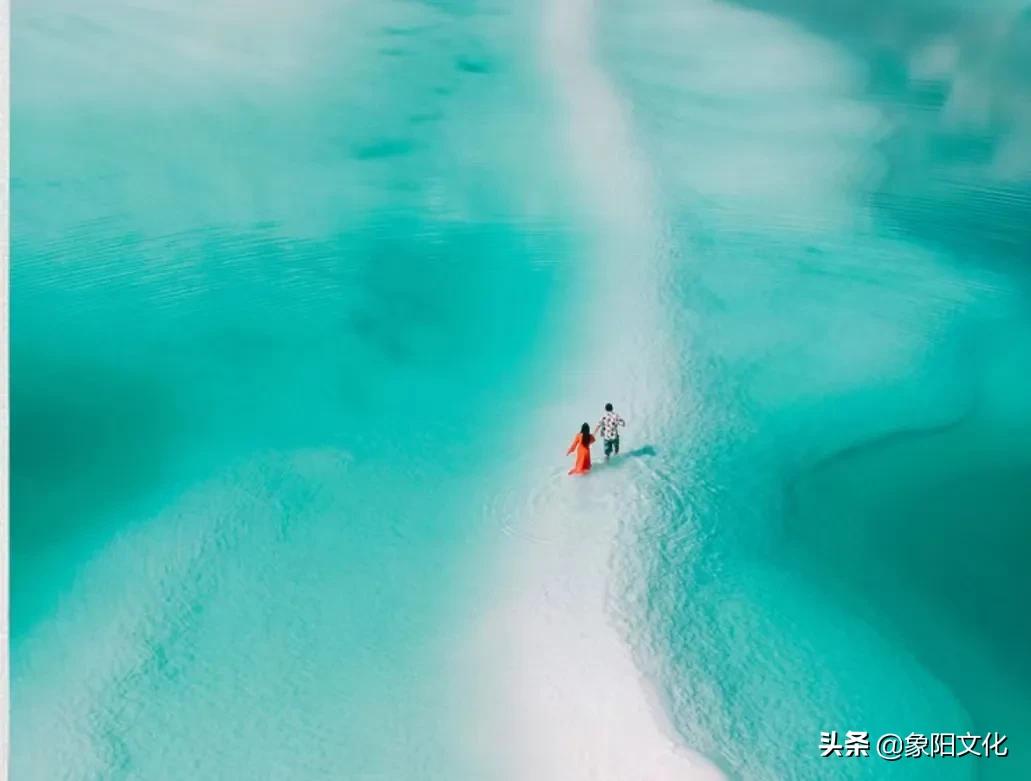 诗词/摄影鉴赏：《不负良人》《迎春花2022》《蓝海芳影》「249」