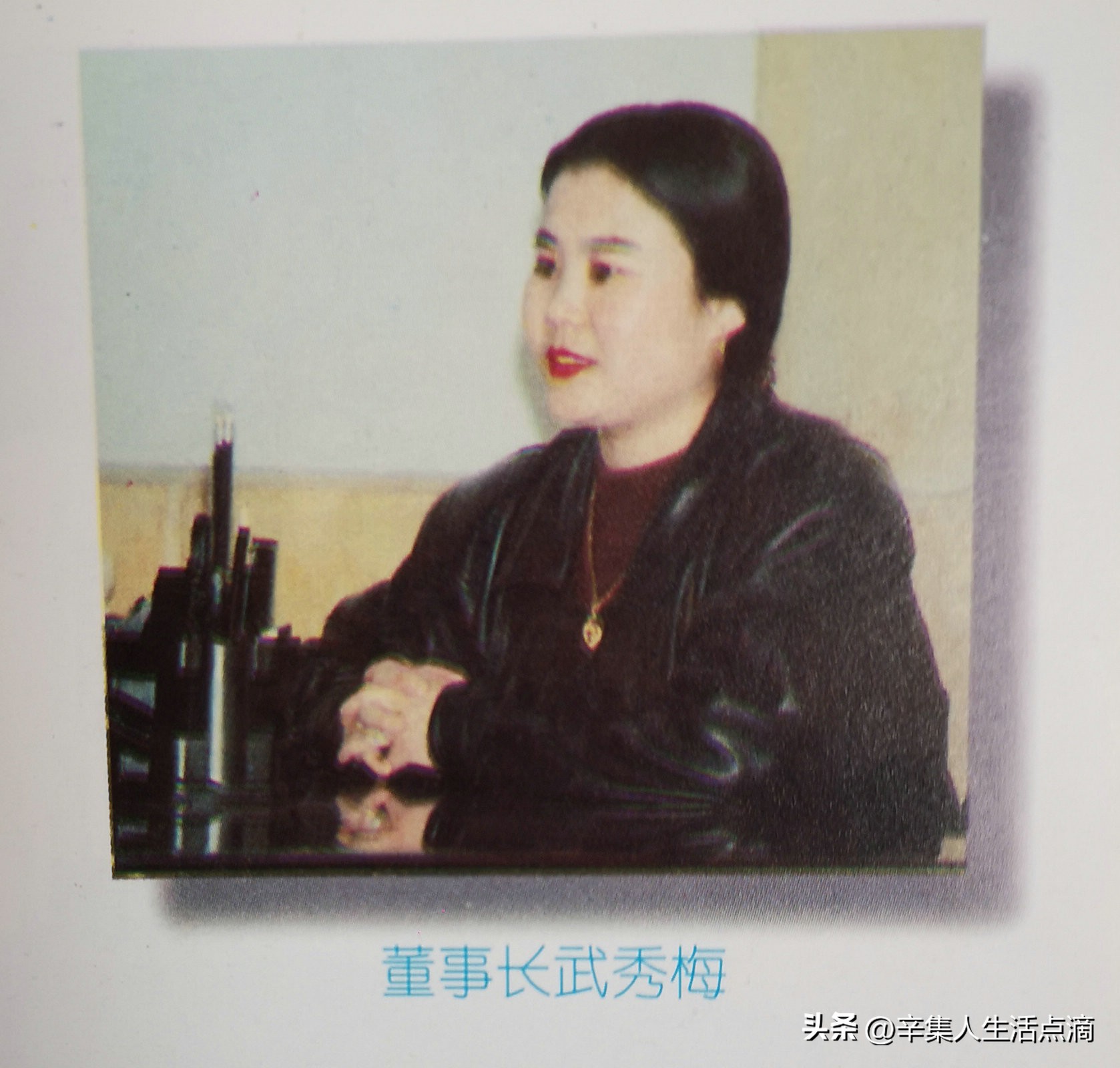 皮都英才录·巾帼不让须眉！辛集市女状元武秀梅的艰辛创业路！