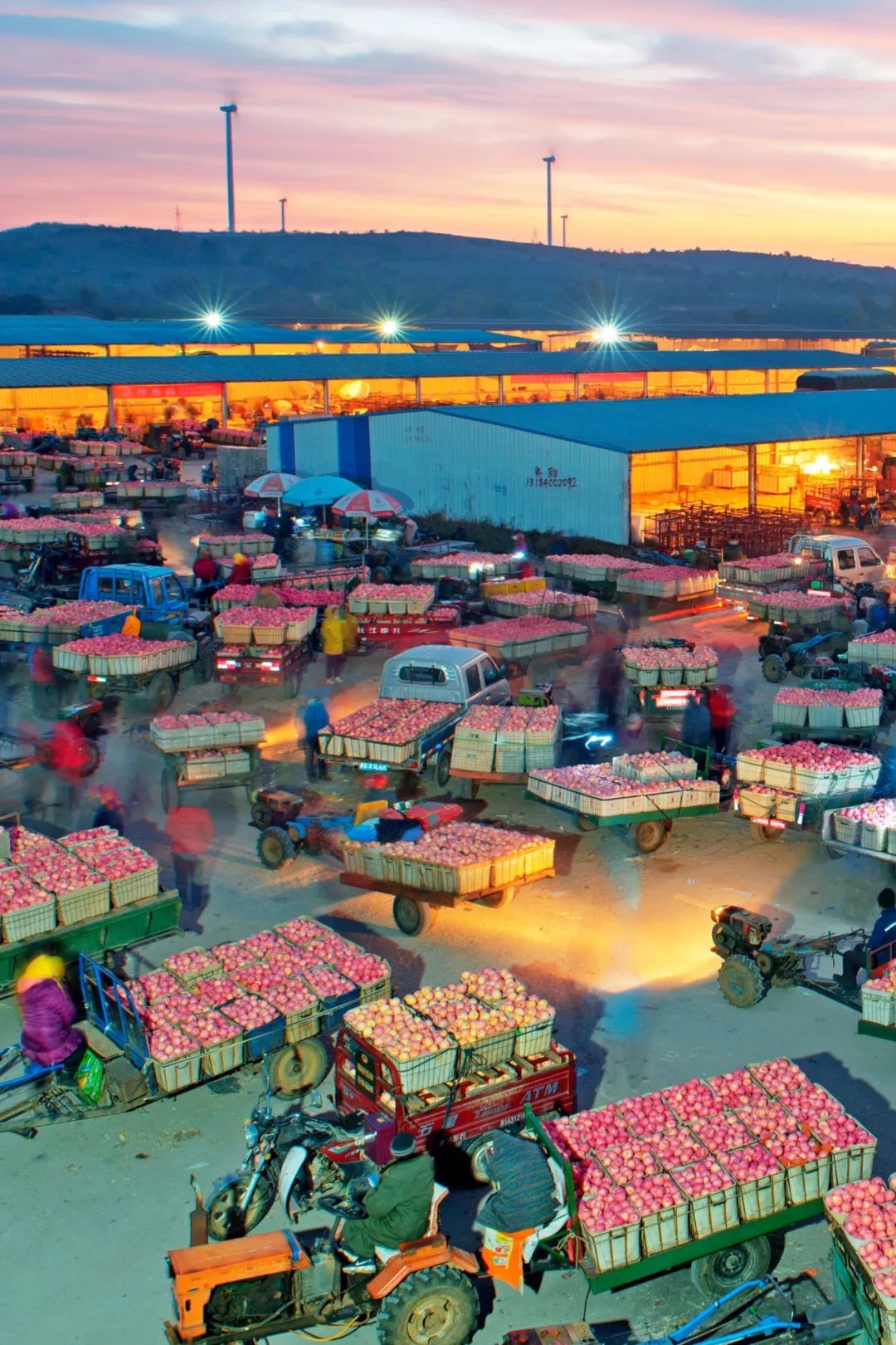 一到夏天，烟台就成了人们心心念念的消暑天堂！