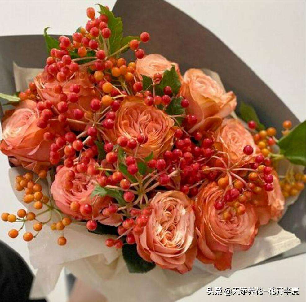 不同颜色玫瑰花的花语和寓意,不同颜色的玫瑰花代表什么含义