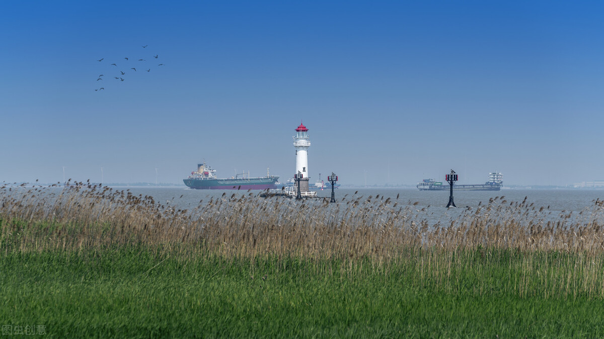 上海附近的森林秘境,上海惊现的森林秘境