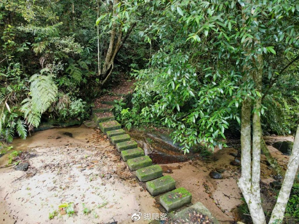 自然保护区志愿者申请,生态文化保护志愿者招募