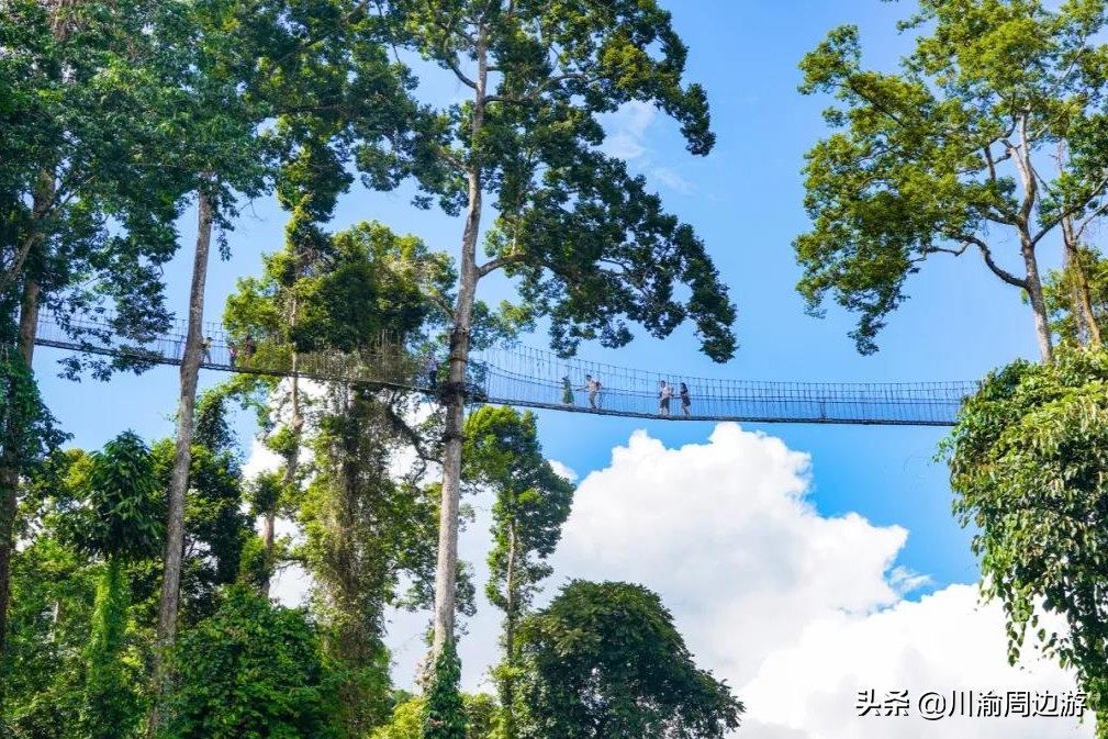 云南最适合旅游的城市排名前十,云南旅游值得去的城市排名