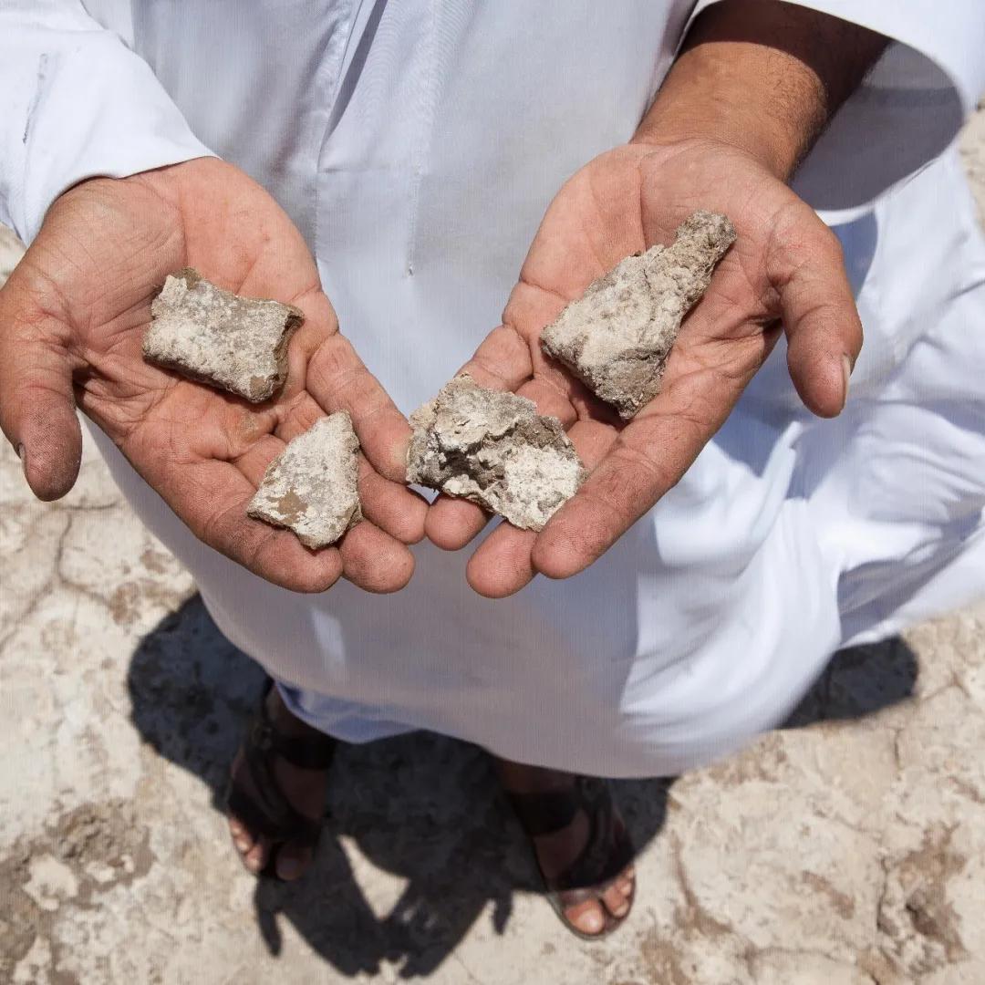 伊拉克热炸了,伊拉克热