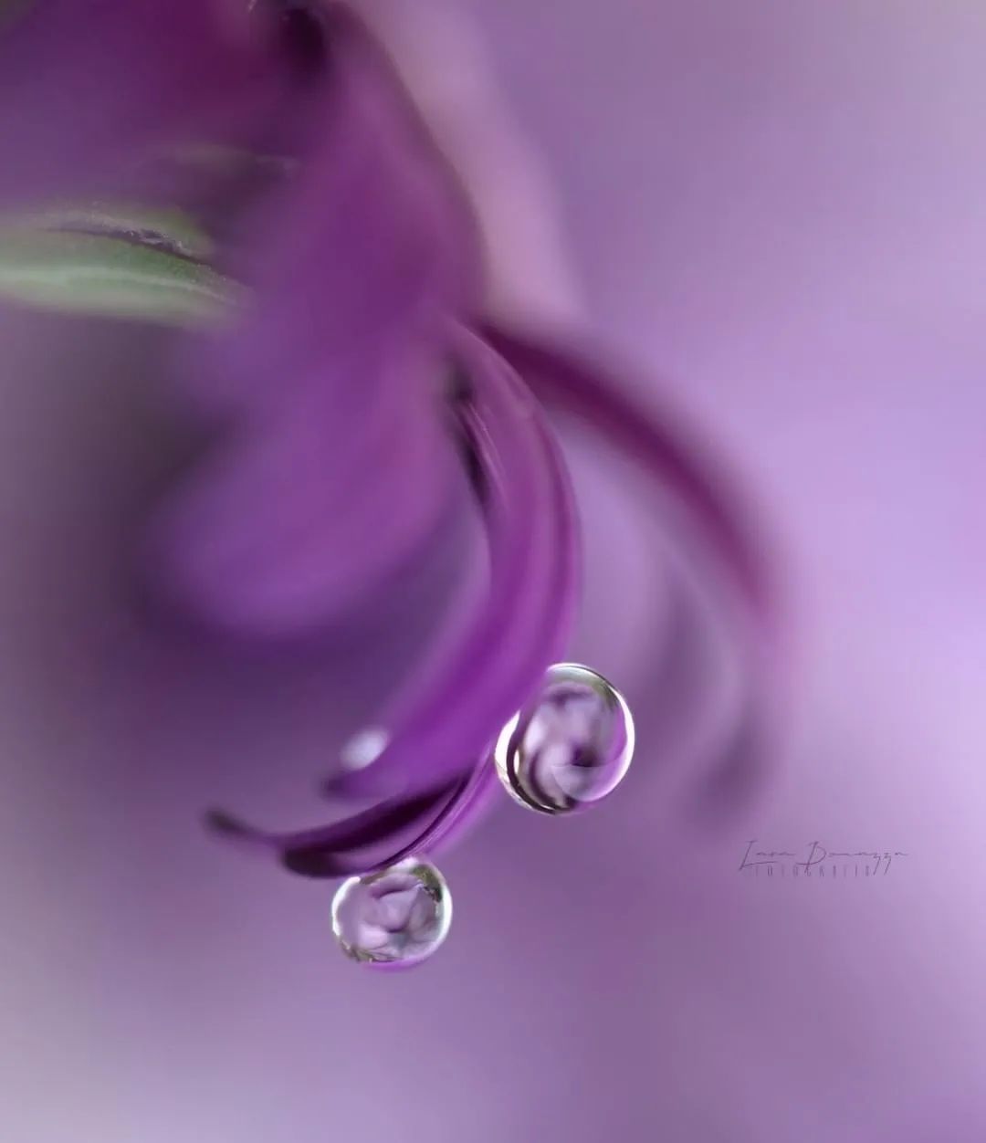 对知己的理解是什么,知己到底怎么理解