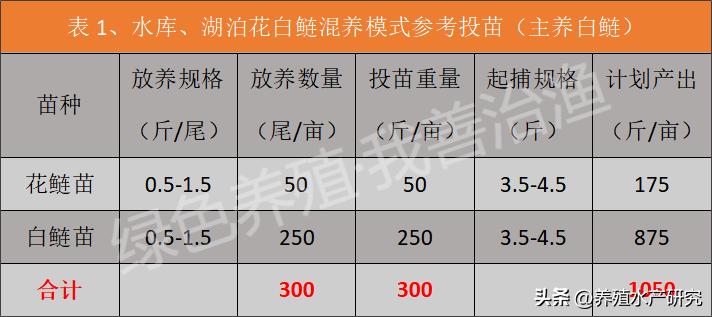 花白鲢什么时候放最佳,花白鲢用什么喂最好