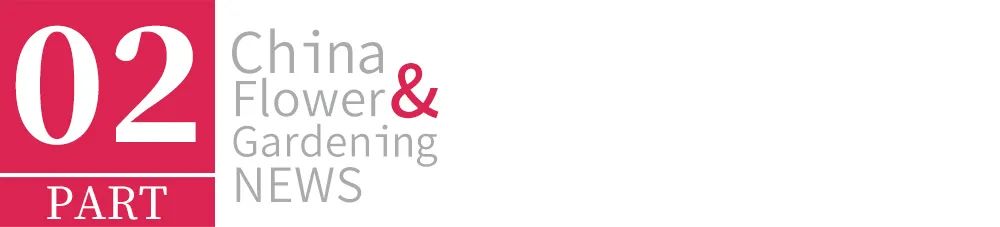 网上买的花种子靠谱么,网上买的花种子假的