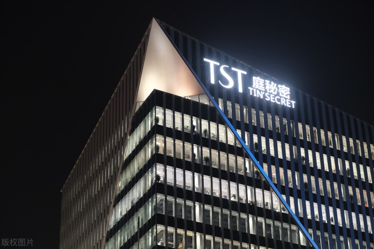 tst公司是涉嫌传销吗,tst涉嫌传销被立案