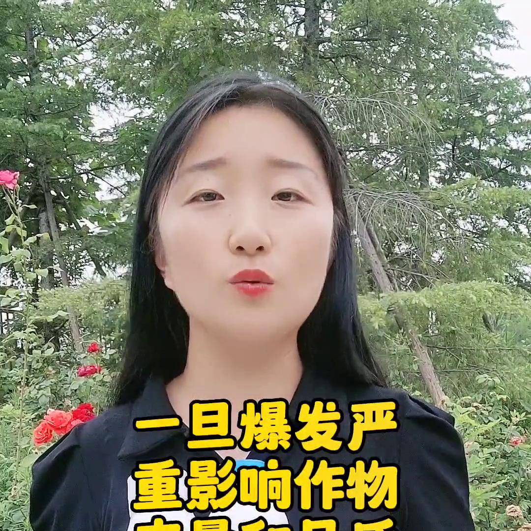 打红蜘蛛的药阿维乙螨唑,阿维哒螨灵防红蜘蛛如何配药