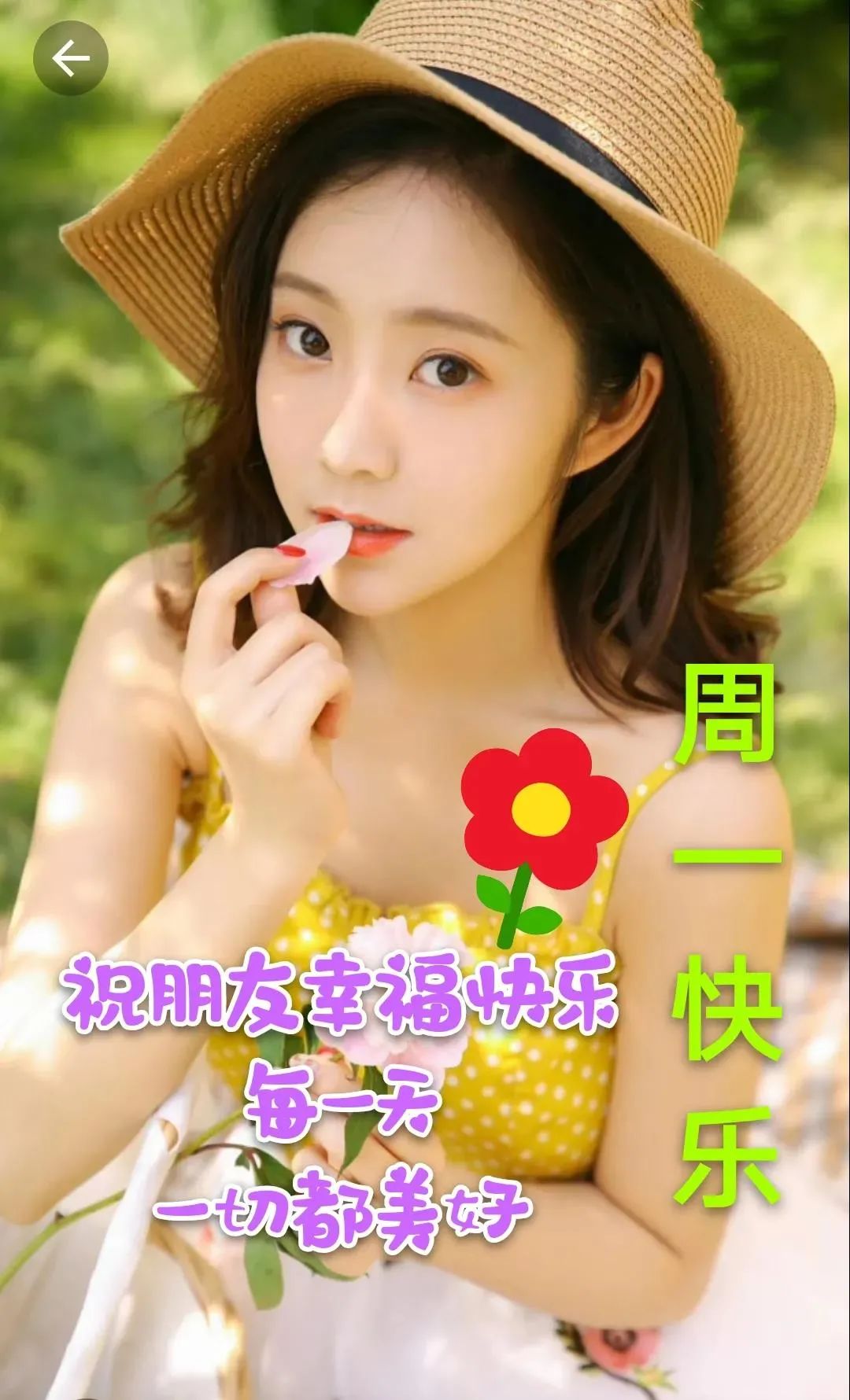 早安微笑语录经典句子,2020年经典早安心语语录锦集80条