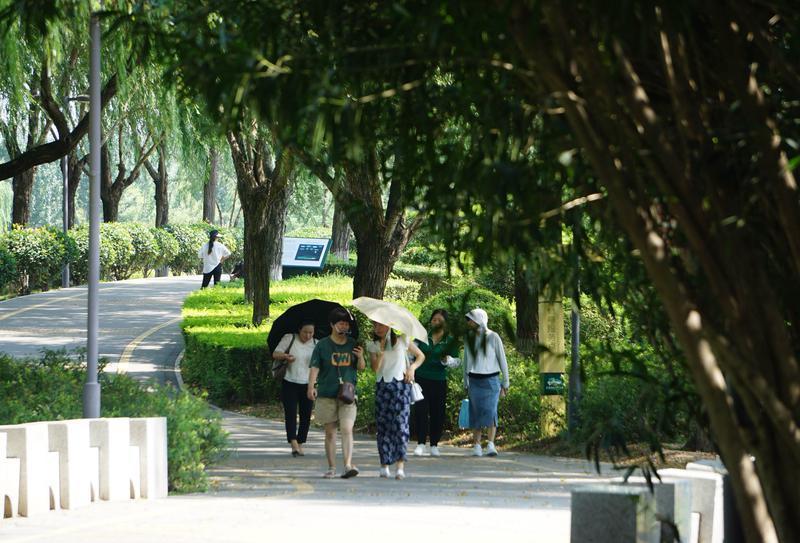 秋天的宛山荡湿地公园,秋天中河湿地公园