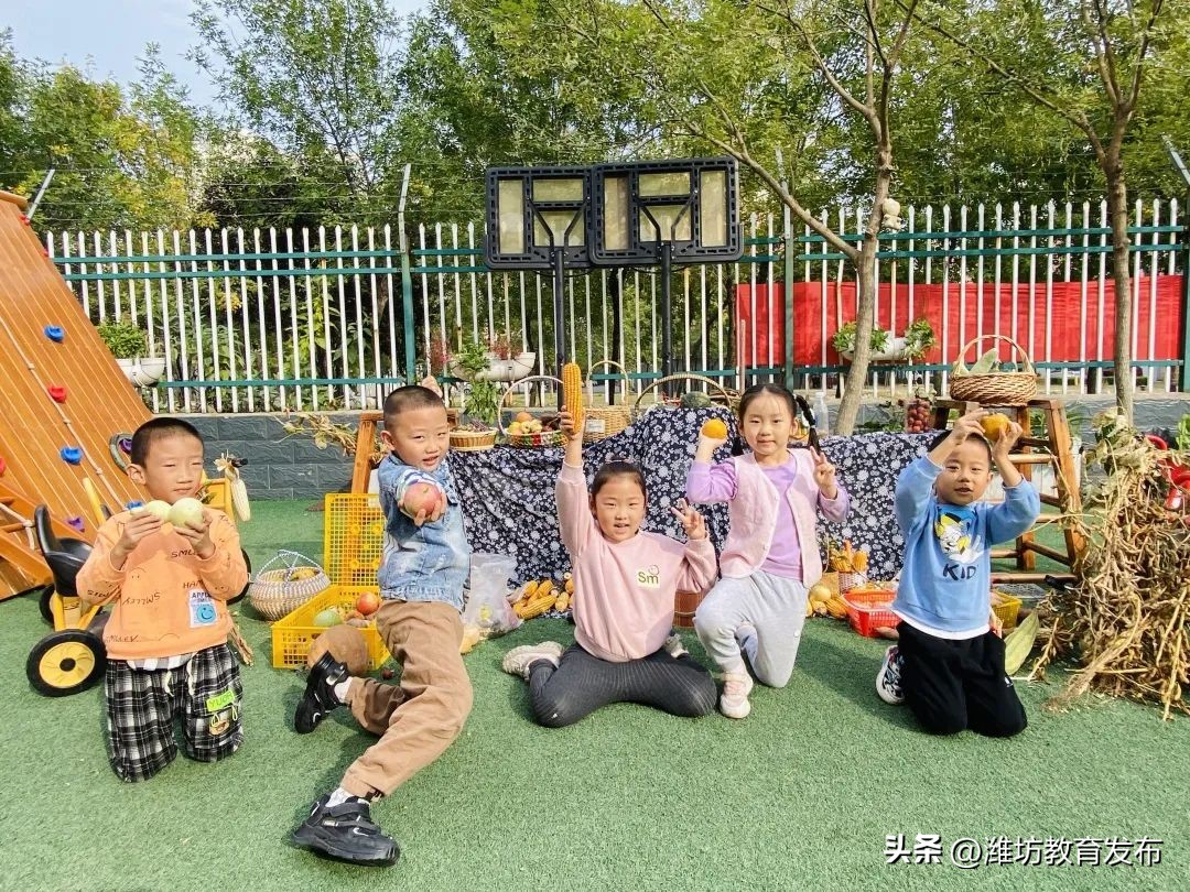 挖红薯、摘柿子、拔花生……看，潍坊学子在劳动中感受秋天