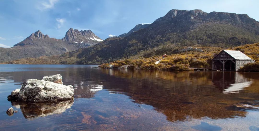 澳大利亚野马泛滥成灾,澳大利亚野马现状