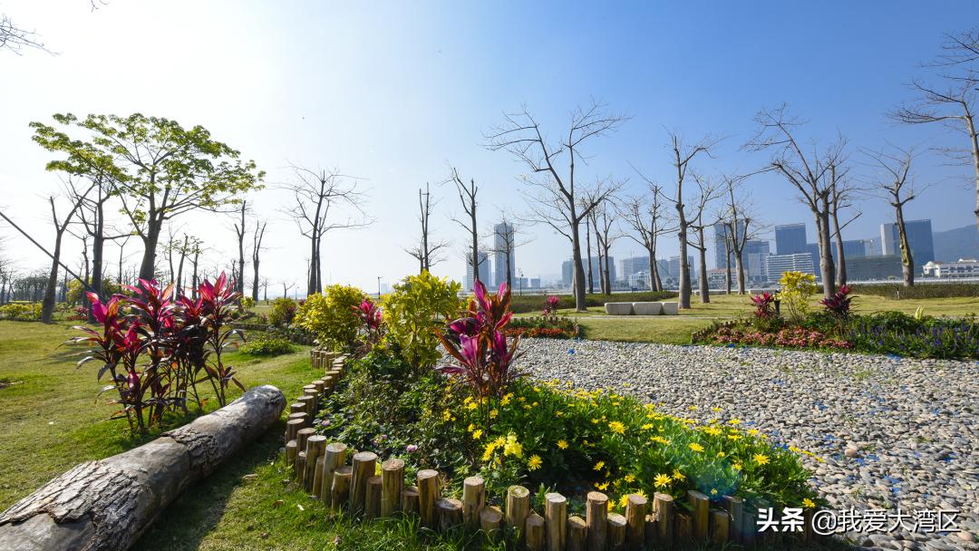 珠海春游赏花,珠海周边踏青景点