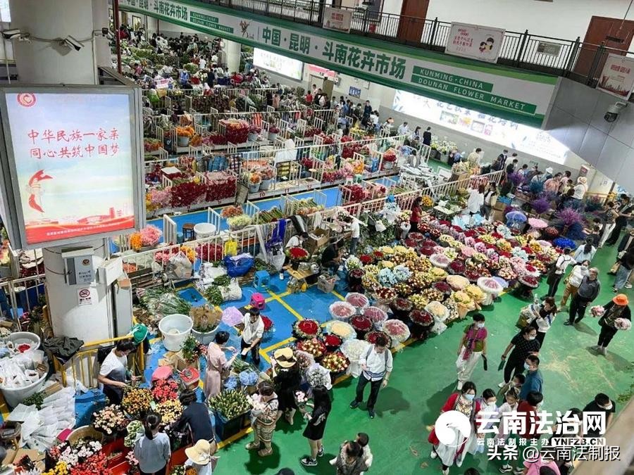 云南鲜切花零售,云南鲜切花交易