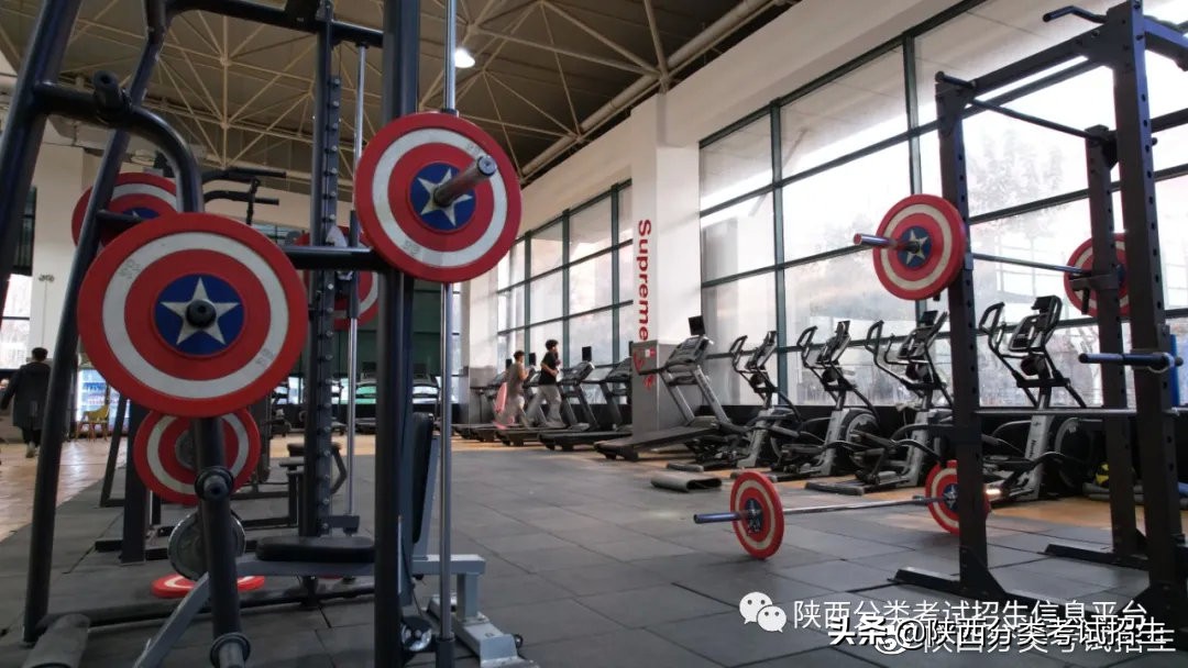 陕西职业技术学院是双高计划吗,双高专科学校陕西工商职业学院