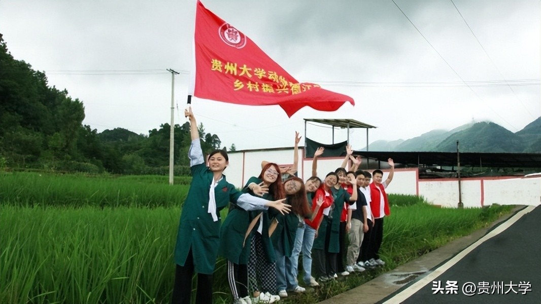 璐靛ぇ瀛﹂櫌,璐靛ぇ鏈鍗囧