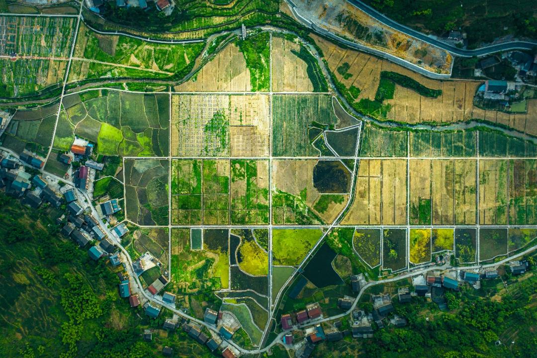 良瑜国际养生谷合院,良瑜国际养生谷别墅户型