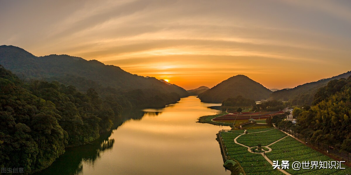 广州增城荔枝之乡图片,广东著名的荔枝之乡