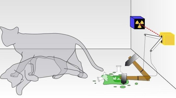 一只神奇的猫咪,一只神奇的猫原版