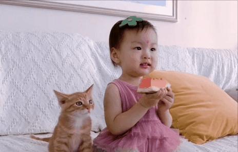 2018年全国宠物展排期表,深圳宠物展会2021排期明细表