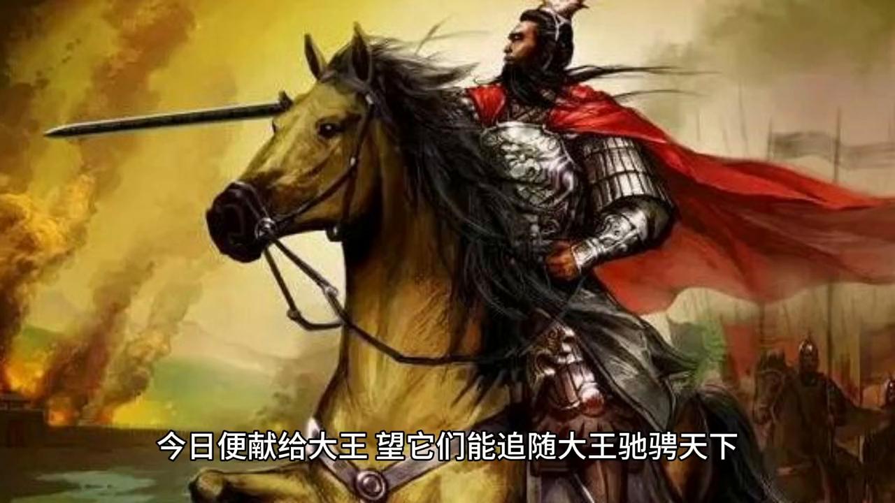 三国之召唤猛将100%通关,三国之召唤猛将第二部