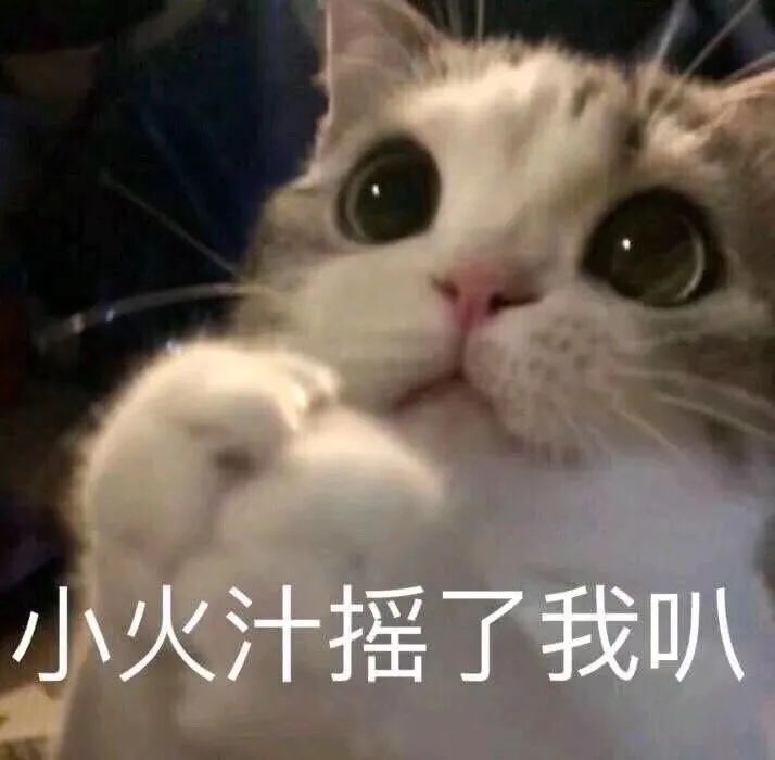 脱口秀挨揍的是谁,玩好脱口秀