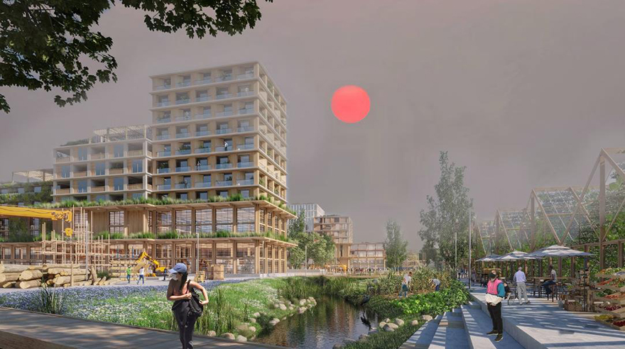 typology涓枃,typology