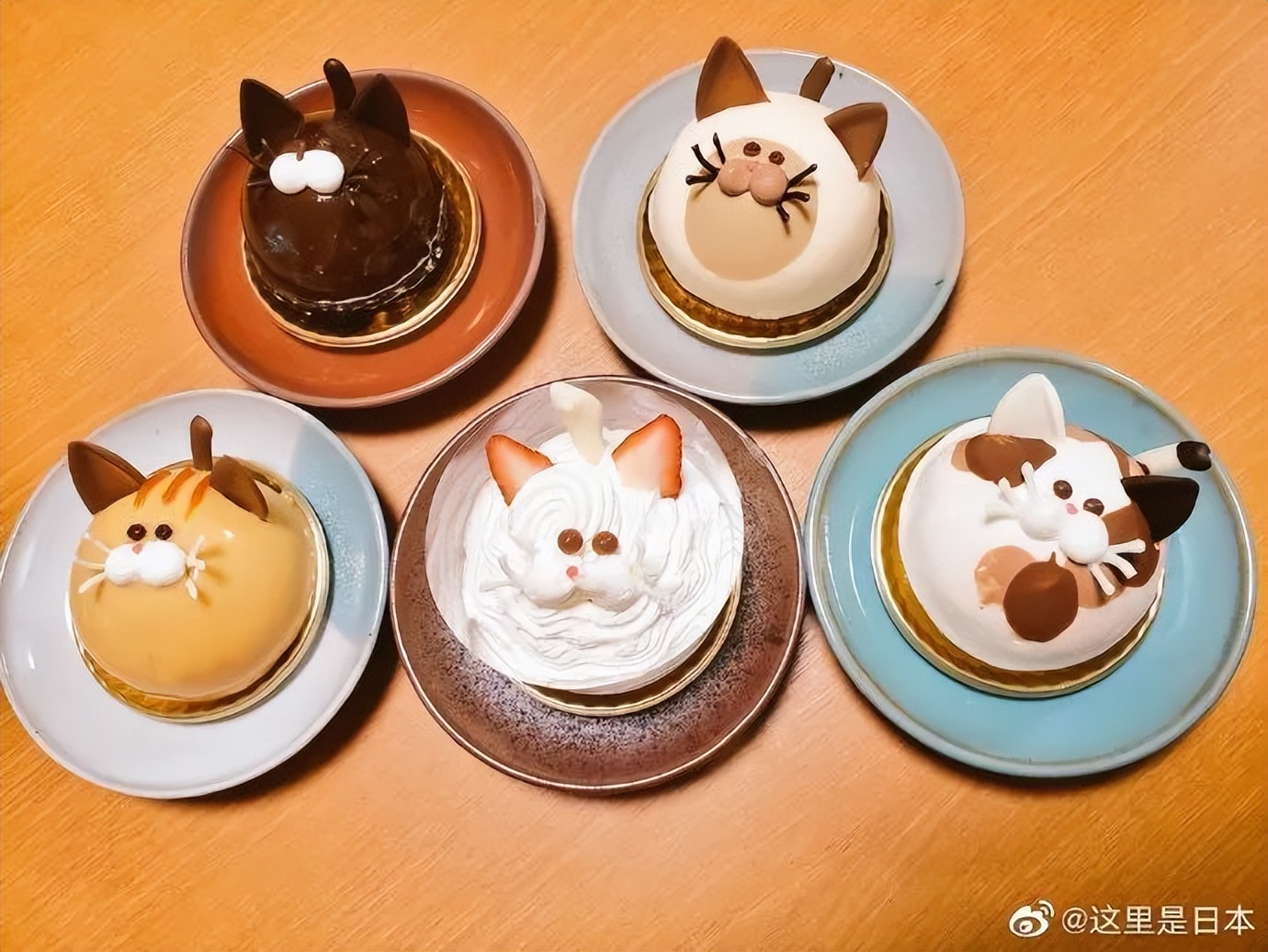 网课承受了太多社死|冷段子2365去年今日2008