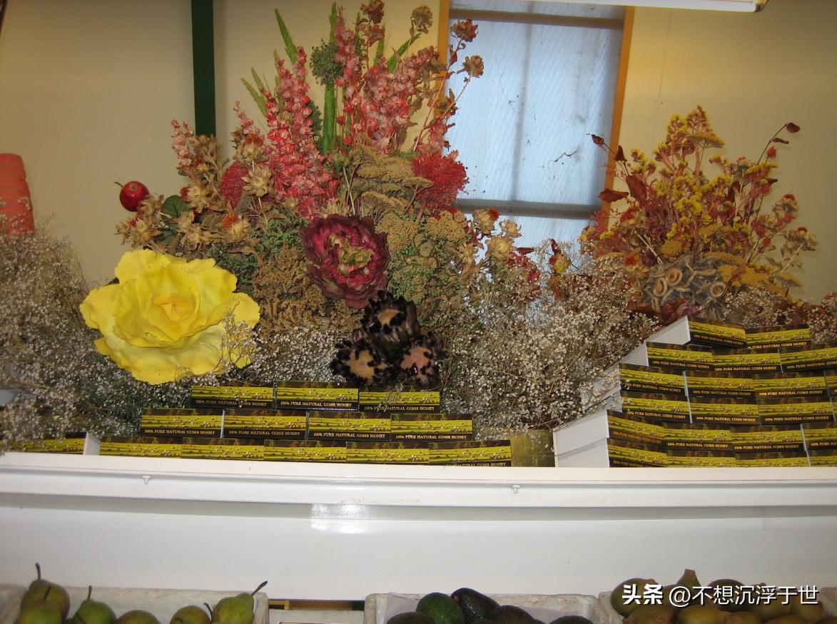 新西兰满街水果,新西兰路边水果图片