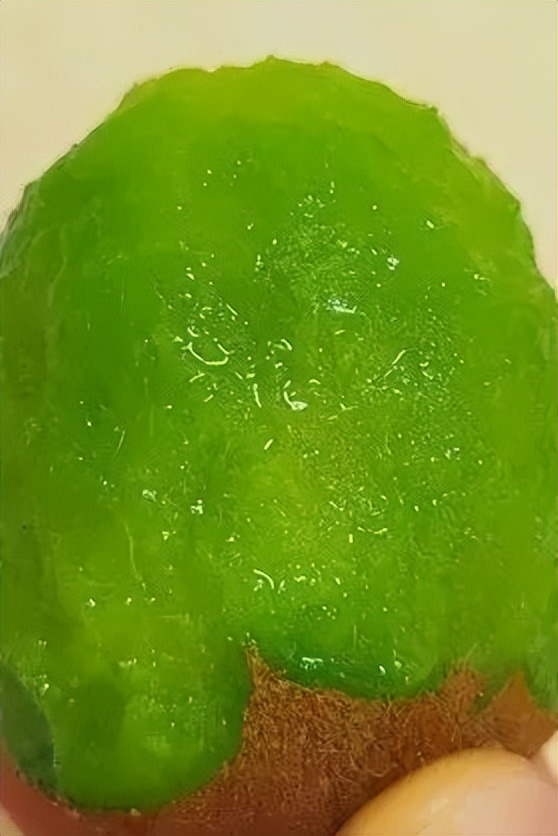 西安农高会最新报道,西安农高会活动