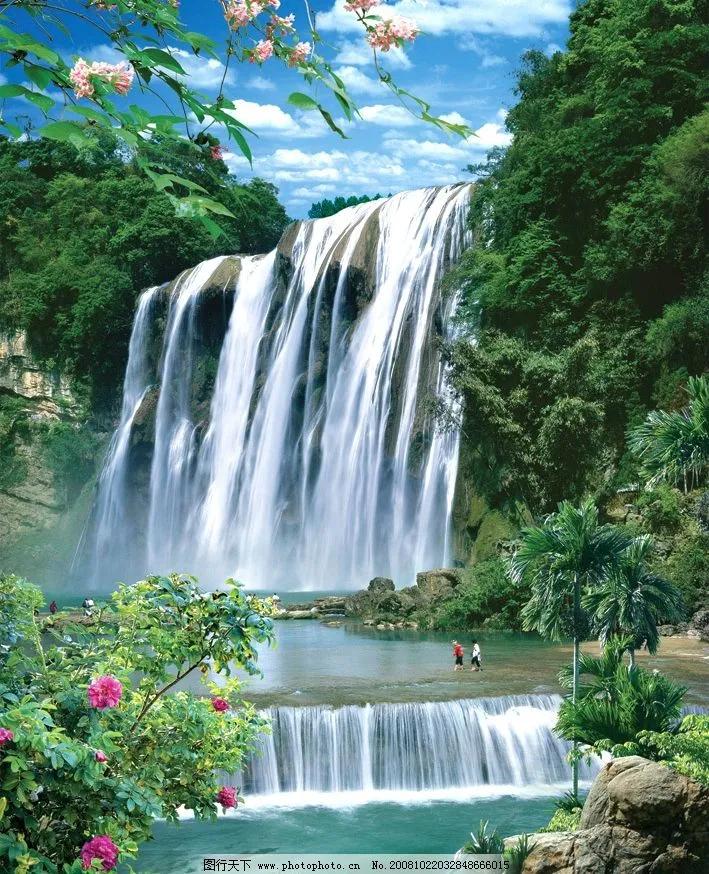 真实大自然风景图片手机壁纸,花草树木壁纸高清风景图片