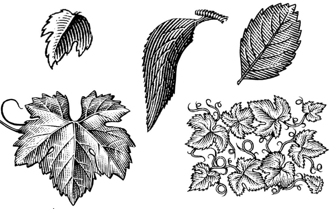 ai绘制插画人物教程,ai版画风格插画教程基础