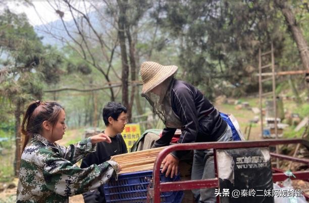 为什么超市的蜂蜜不能买,现在超市里蜂蜜那么便宜是真的吗