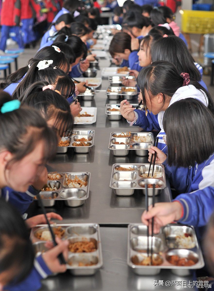 指“鼠”为“鸭”弥天大谎之后，暴利之下，老鼠肉真这么可怕？