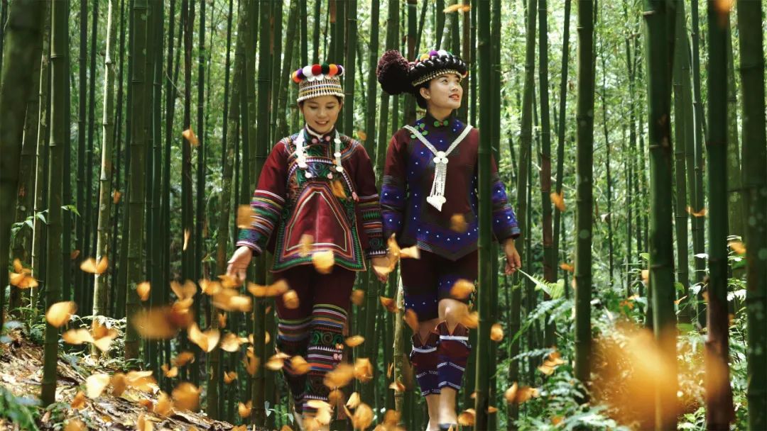 云上梯田梦想红河是谁提出的,云上梯田梦想红河云南旅游新方向