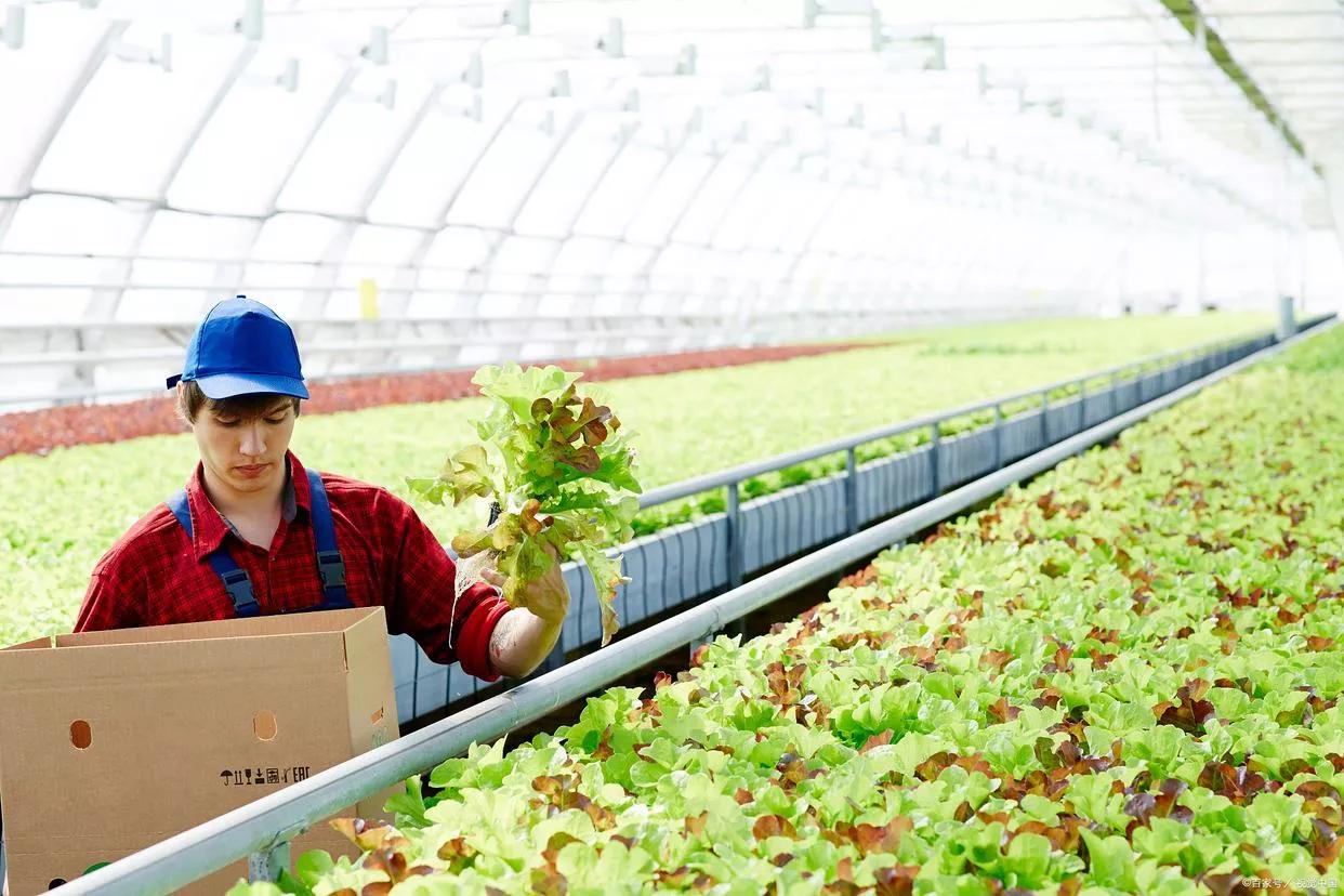 农民种地要考农民证是真的吗,哪个专家提出种地要考证
