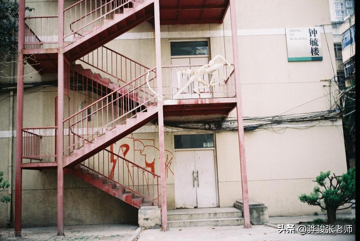 八大美院有985和211吗,八大美院有几个985院校