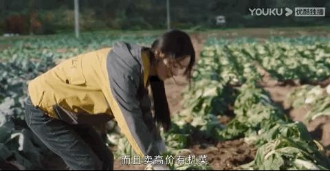 十大最美女星素颜照,殷桃20位演员今昔对比