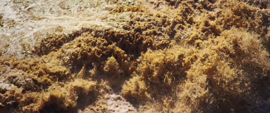 黄河波澜壮阔的气势的诗句,黄河水奔流不息气势壮观的诗句