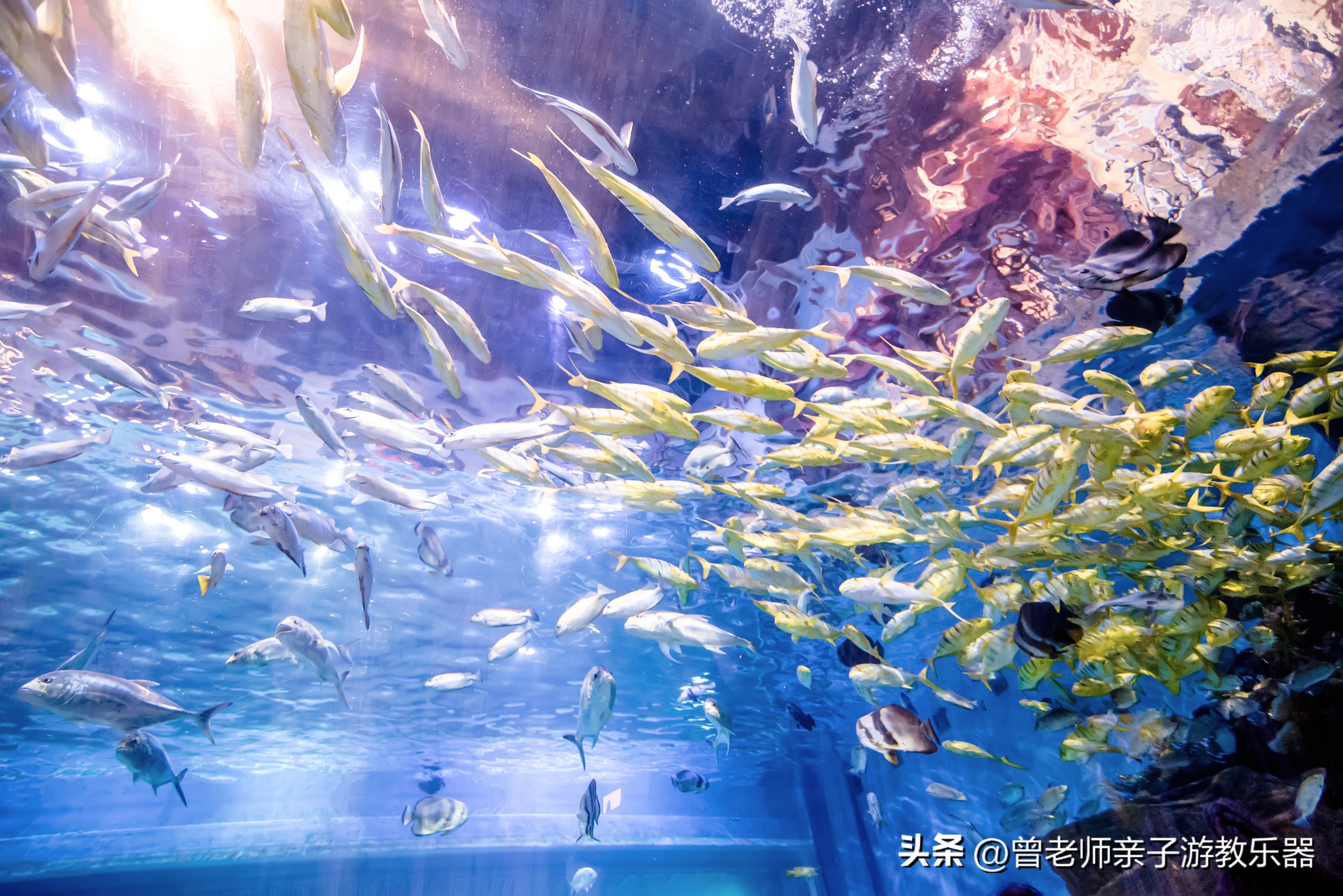 西安2023旅游攻略,2023年西安必去景点