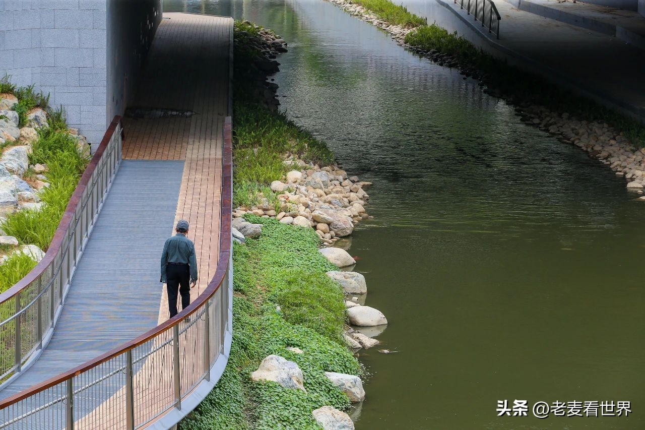 东莞中心公园怎么玩？最全攻略助你通关！五一打卡必备