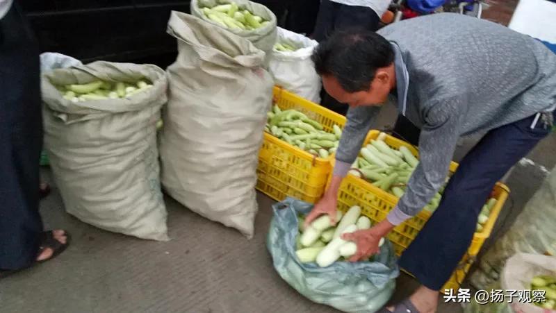 卖瓜简介,卖瓜的原版