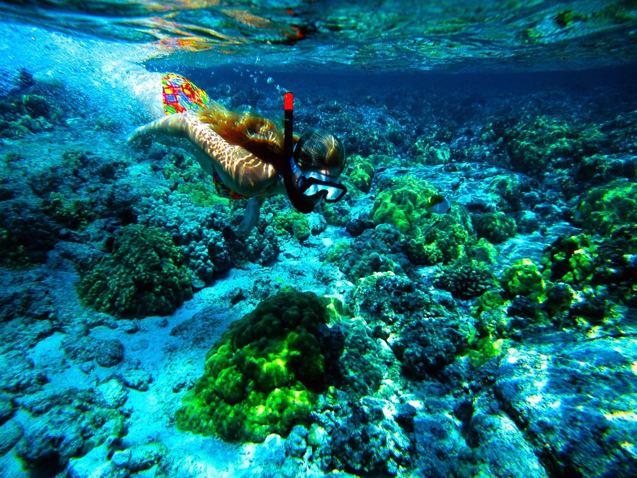 惠东双月湾卓越御山海现状,双月湾卓越御山海别墅预订
