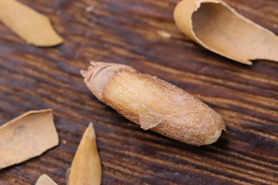 扒了山姆人气商品的“平替”，买会员卡到底亏吗？