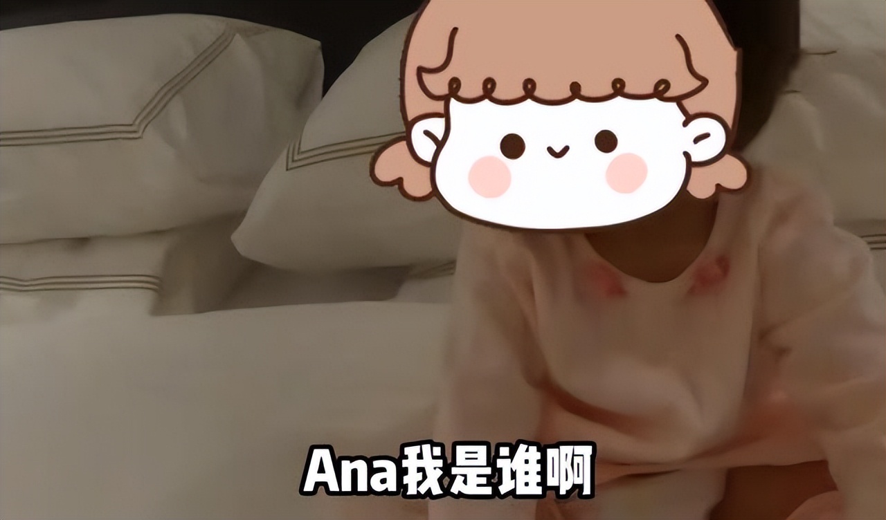 苗苗郑恺几周年,苗苗晒郑恺为自己庆生