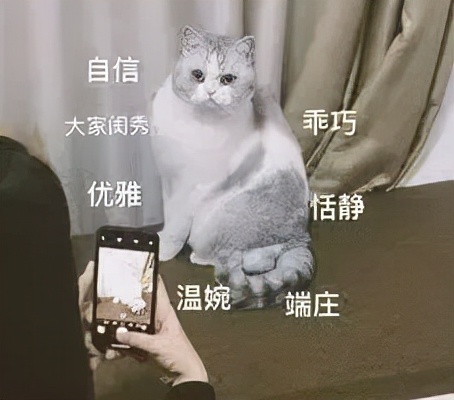 舒缓更年期睡眠盗汗,盗汗失眠是更年期症状吗