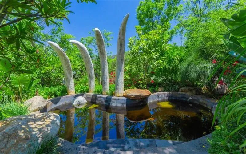 楚雄温泉旅游攻略,云南楚雄野温泉推荐